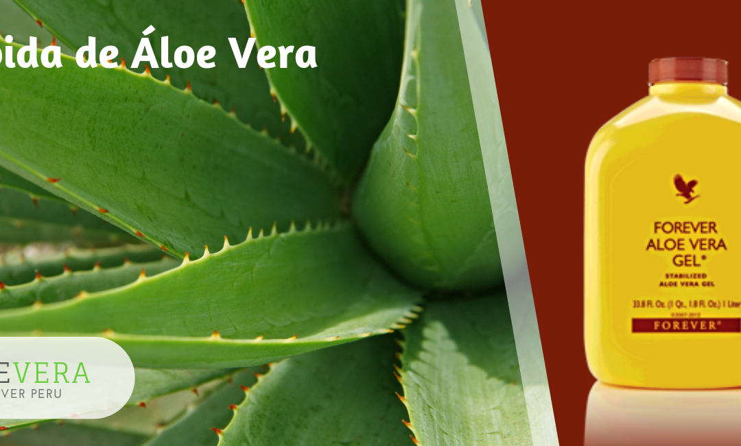 Forever Aloe Vera Gel - 100 % Gel de Vera Comprar en Lima Perú